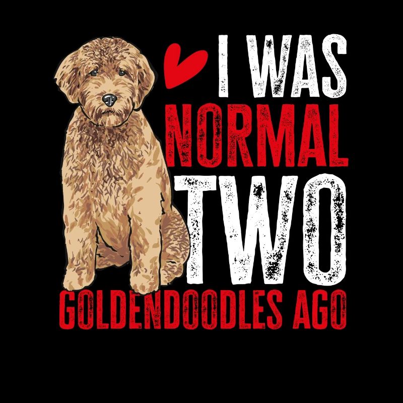 Goldendoodle Doodle Chien