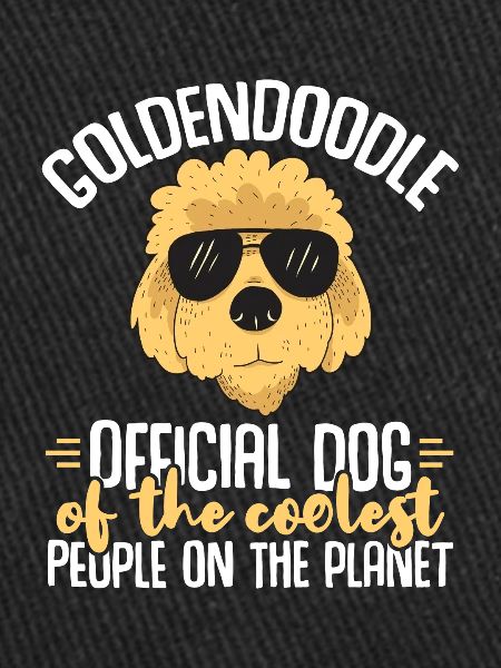 Goldendoodle Doodle Dog