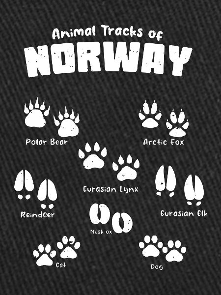 Animal Tracks Norway Footprints