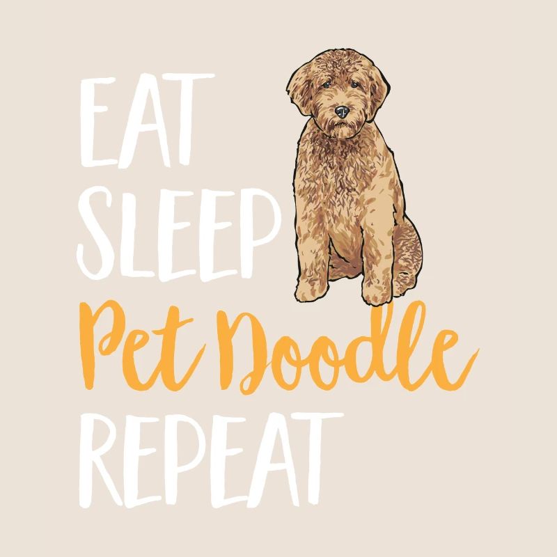 Goldendoodle Doodle Chien