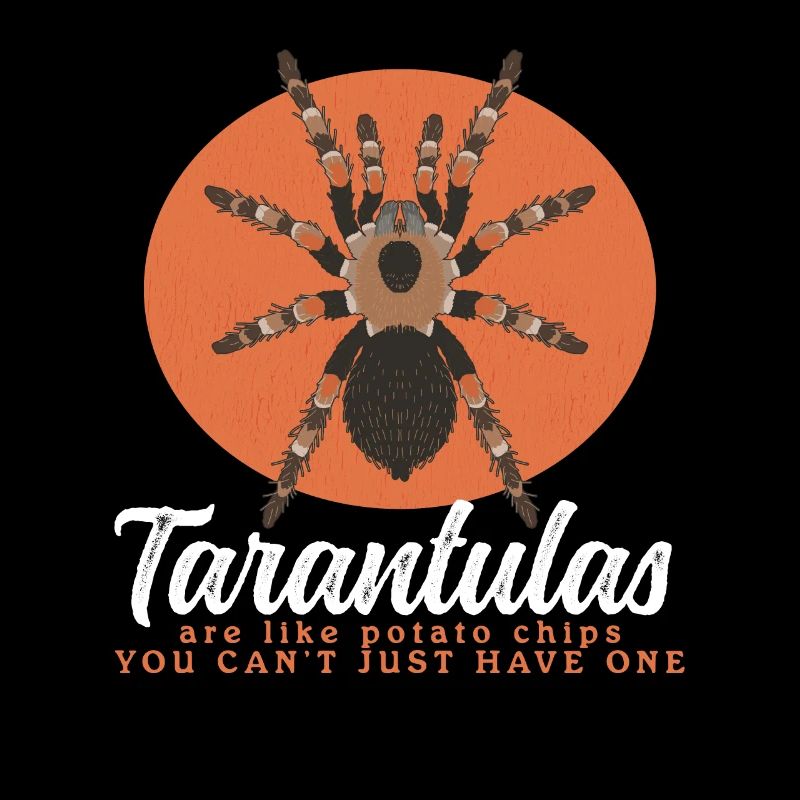 Tarantula Spider Tarantula Tarantula Tarantula Gift