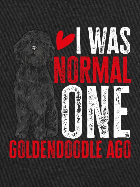 Chien Doodle Black Goldendoodle