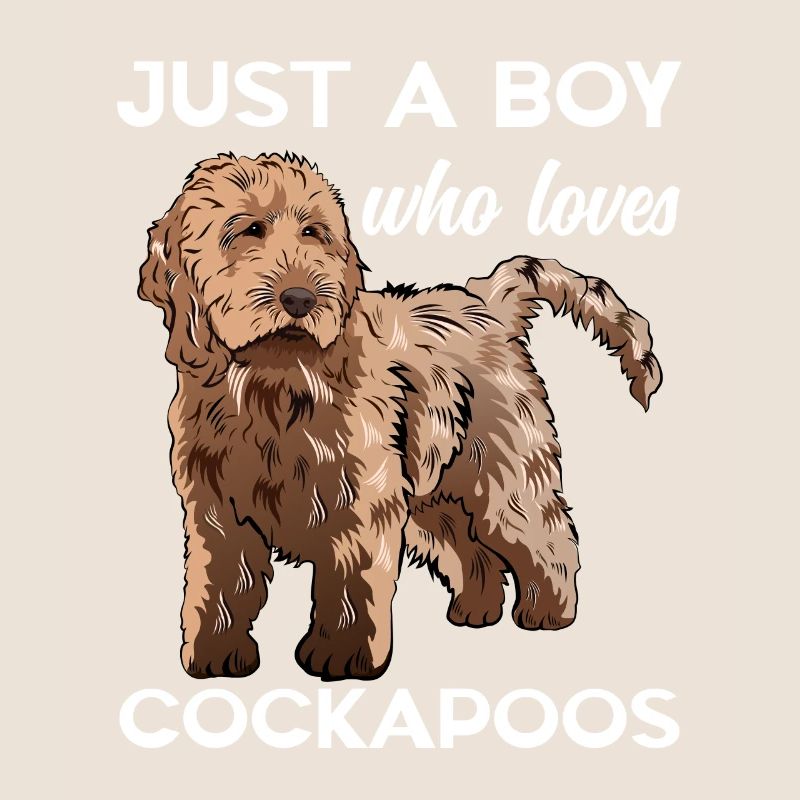 Cockapoo Chien