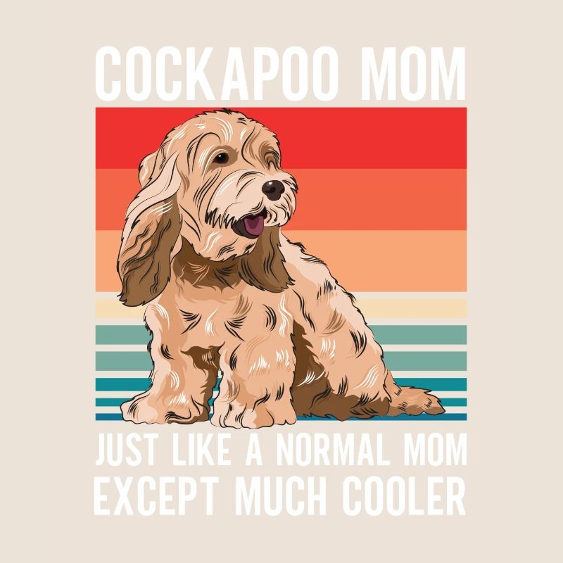 Cockapoo Chien