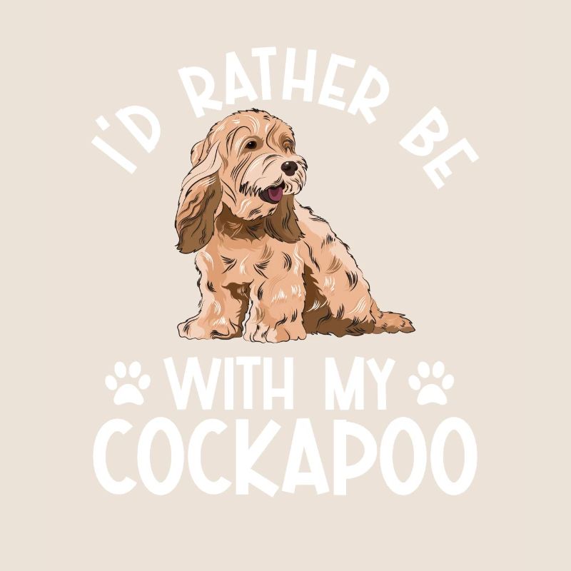 Cockapoo Hund