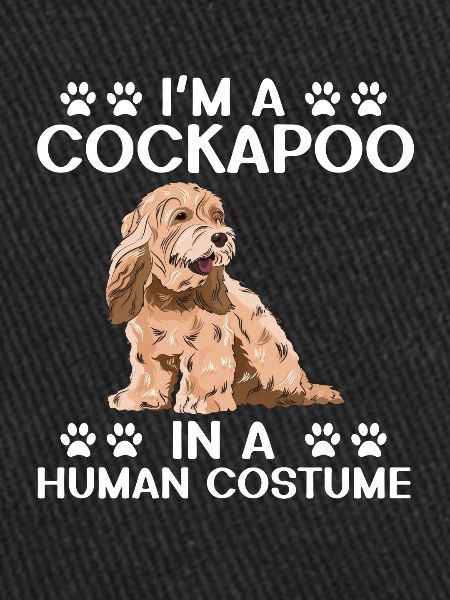 Cockapoo Hund