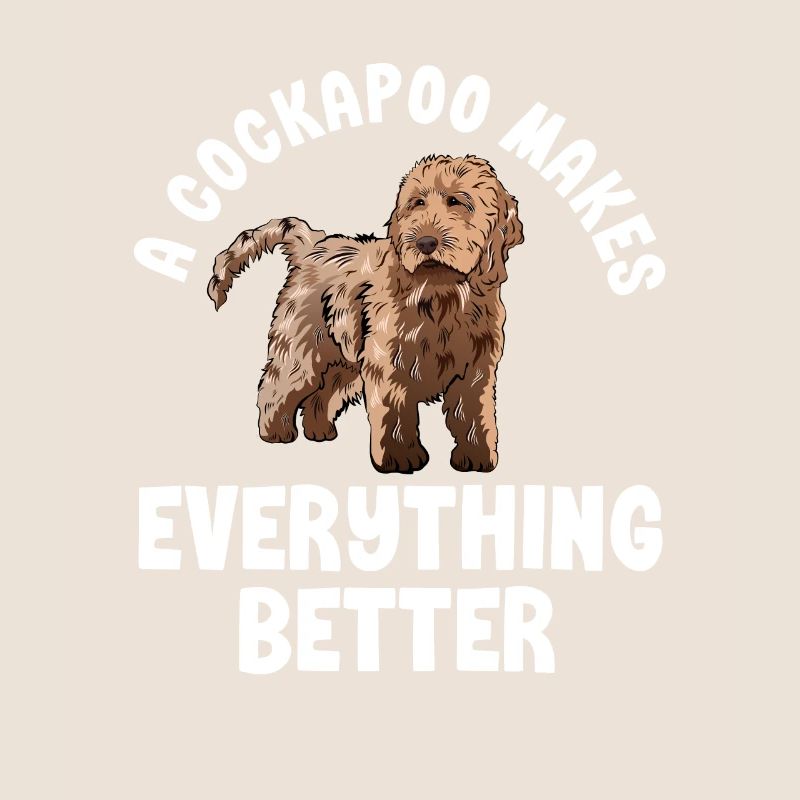 Cockapoo Hund