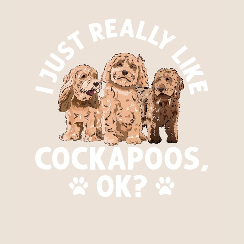 Cockapoo Chien