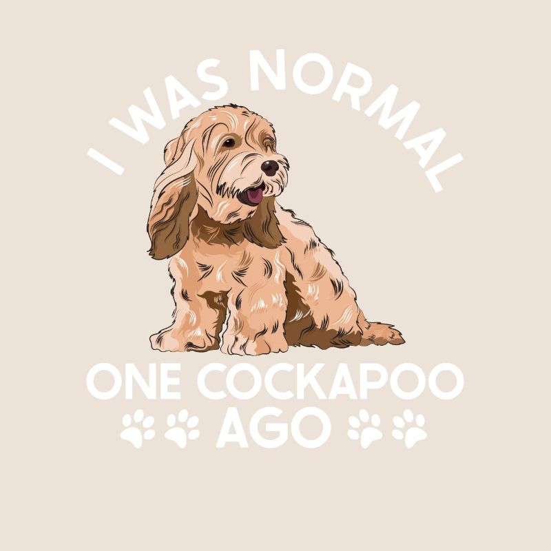 Cockapoo Chien