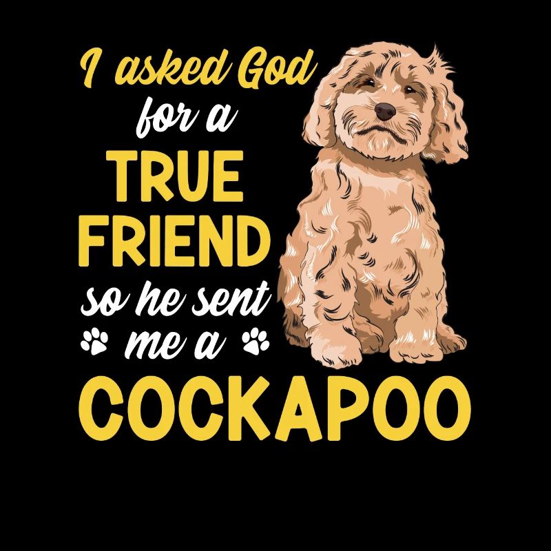 Cockapoo Hund