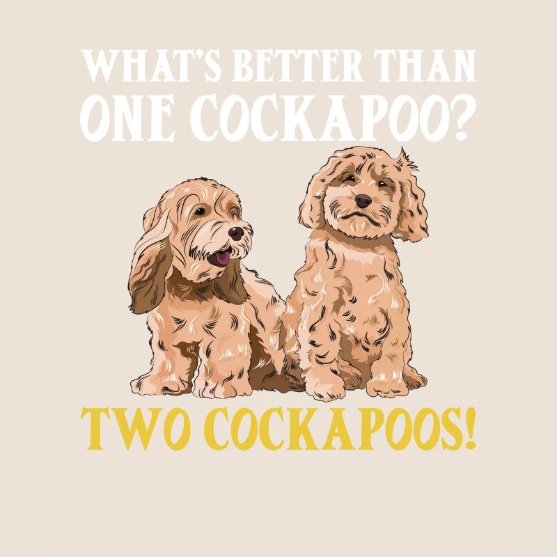 Cockapoo Chien