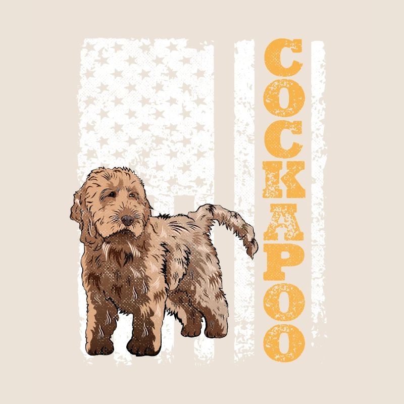 Cockapoo Chien