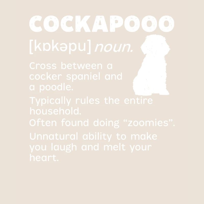 Cockapoo Chien