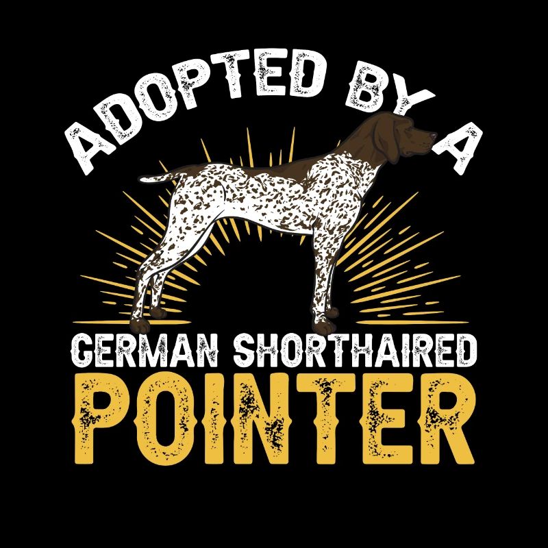 Deutsch Kurzhaar GSP Hund