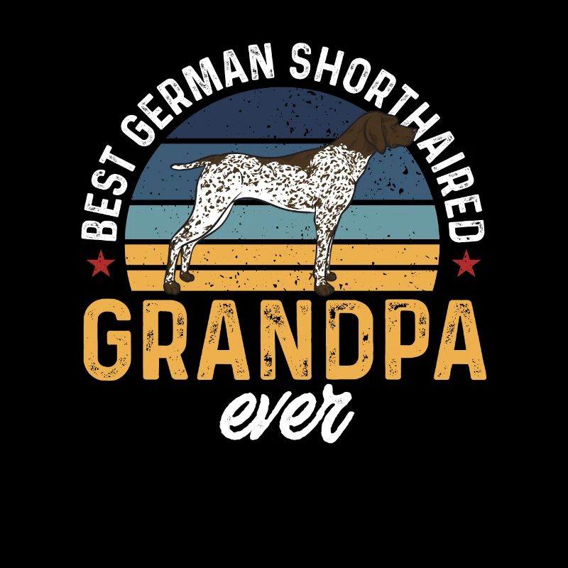Deutsch Kurzhaar GSP Hund