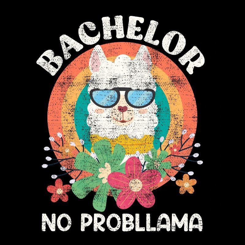 Baccalauréat NO Probllama