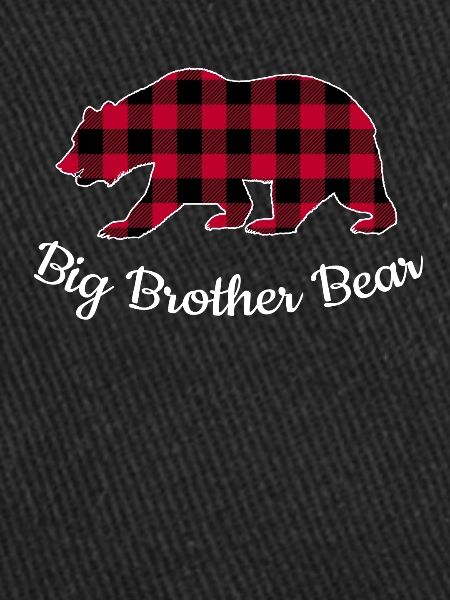 Big Brother Bear