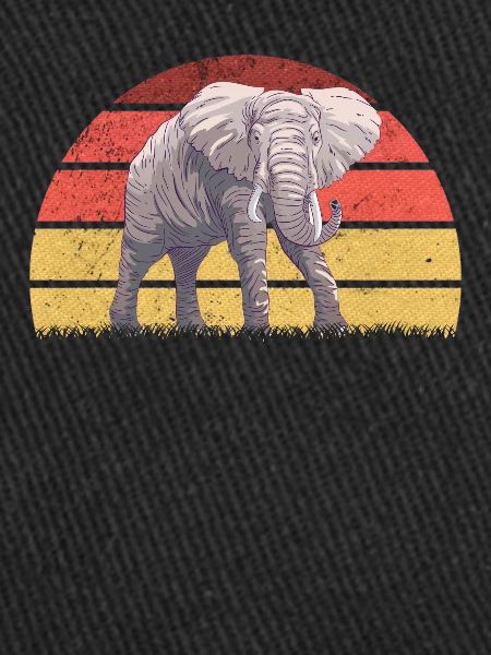 Eléphant d’Afrique