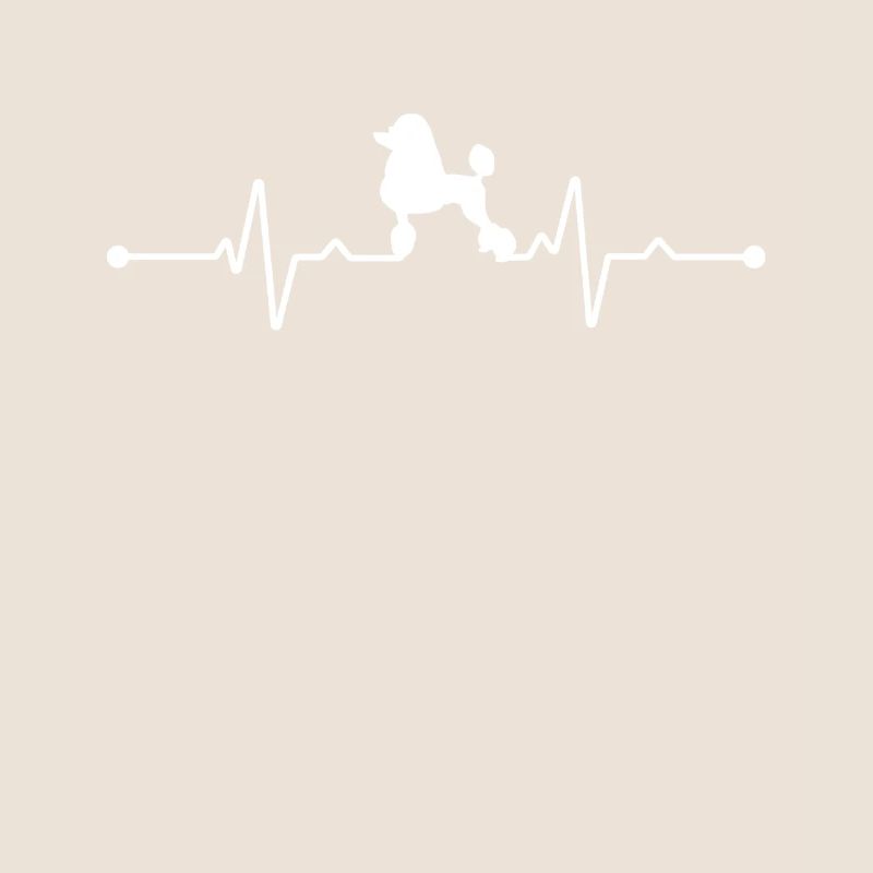 Weiße Schweizer Schäferhunde - Weiße Schweizer