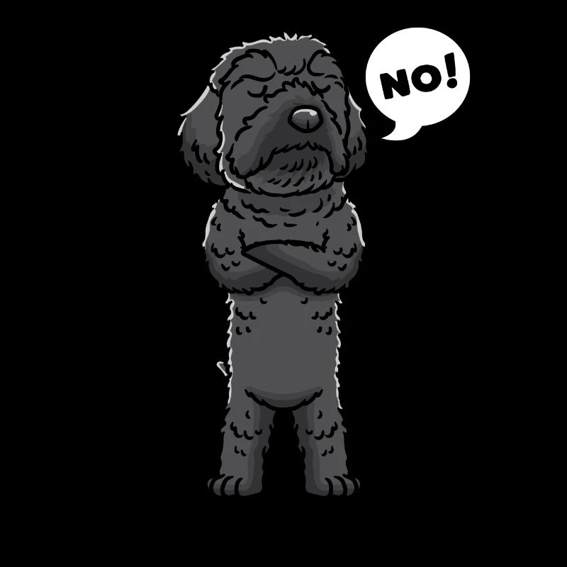 Schnoodle Chien