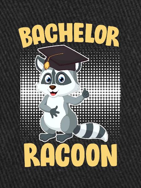 Bachelor Racoon