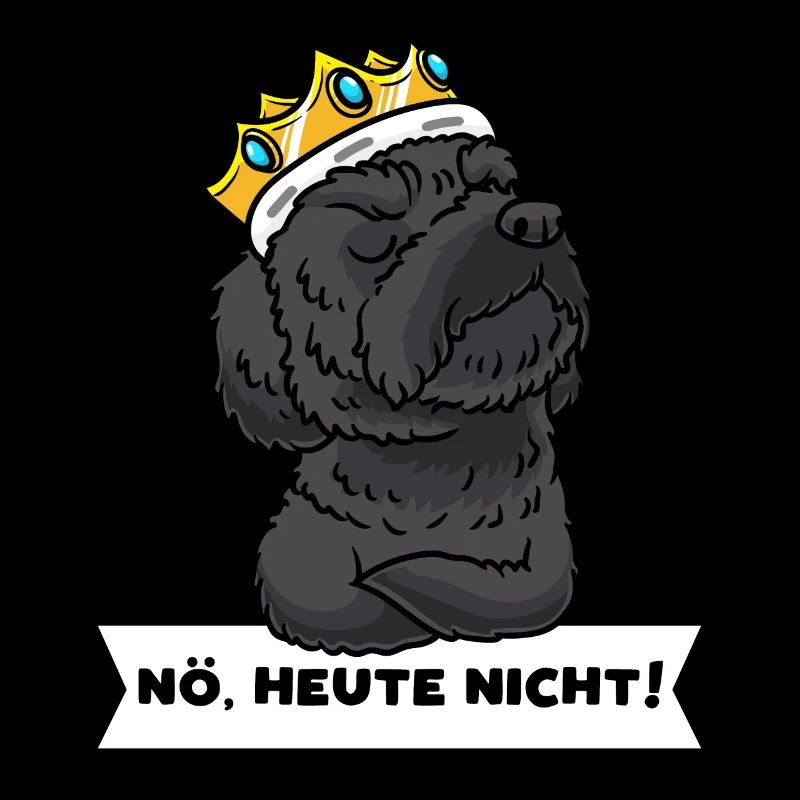 Schnoodle Hund Mit Krone Stur