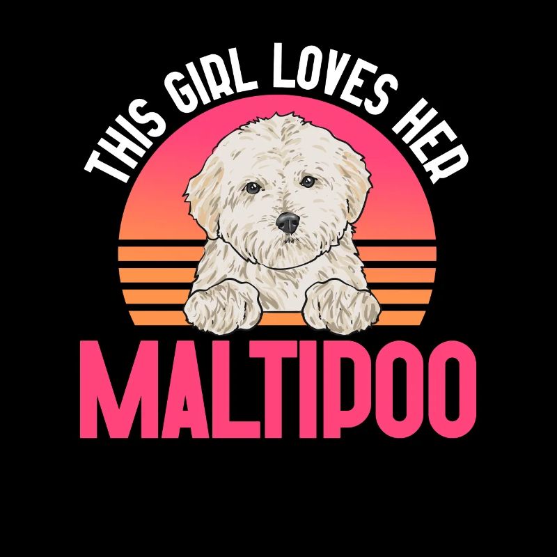 Chien Maltipoo