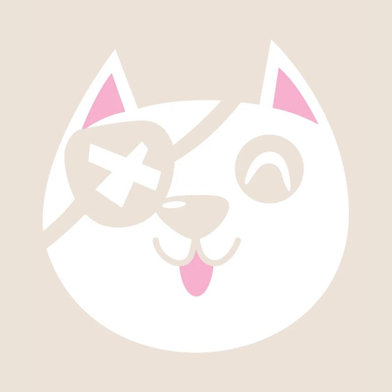 Chat pirate