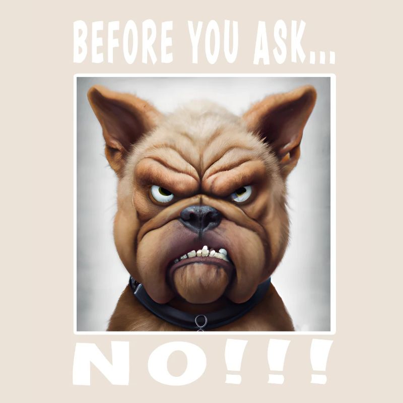 Before you ask no