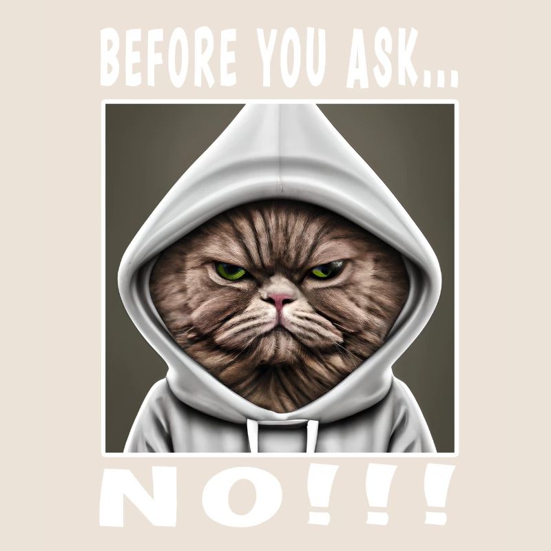 Before you ask no