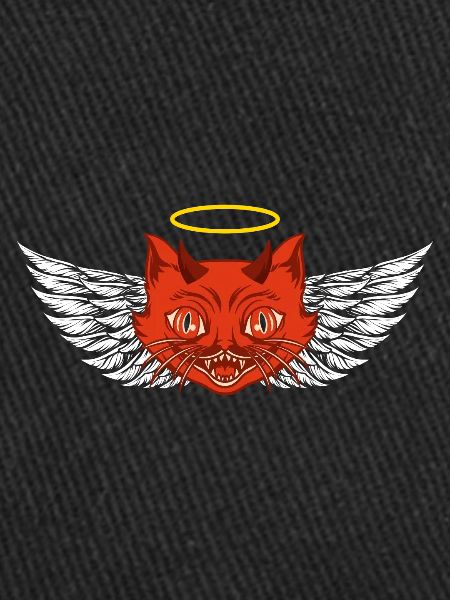 Ange et diable chat