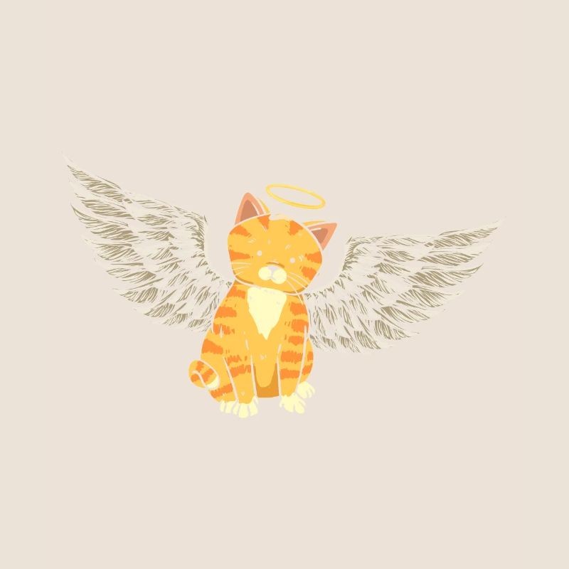 Ange Chat