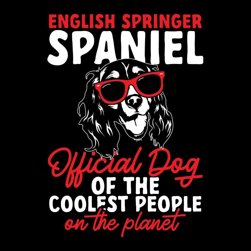 English Springer Spaniel Dog