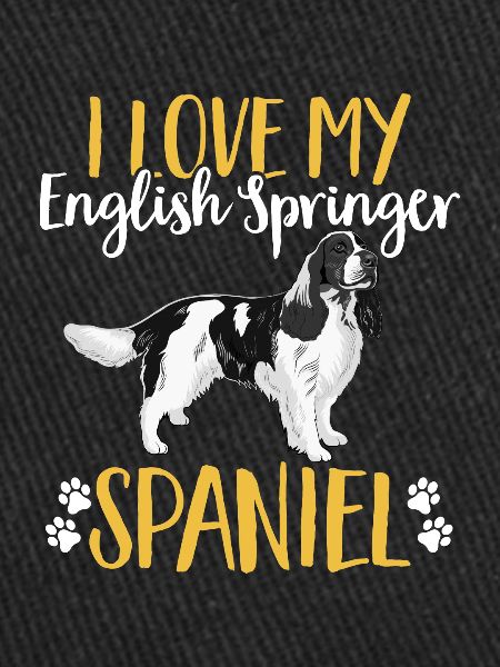 English Springer Spaniel Dog