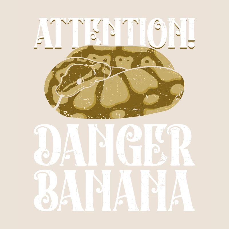 Königspython Banana Königspython Schlange