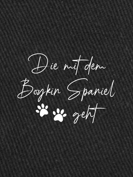 Boykin Spaniel