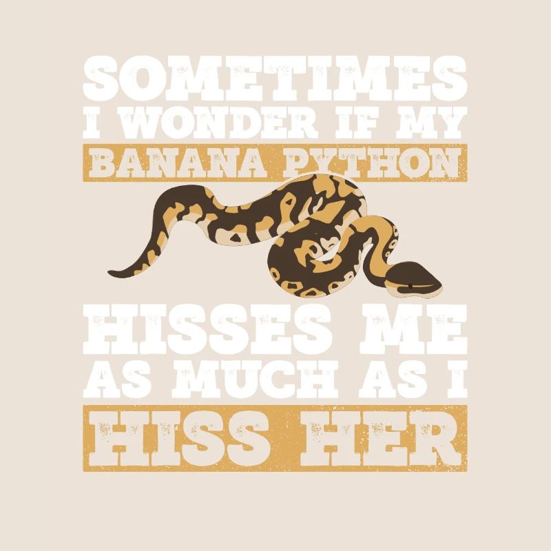 Banana Ball Python Königsphython