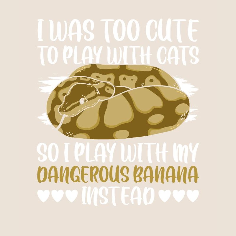 Dangerous Banana Königspython Banana Ball Python