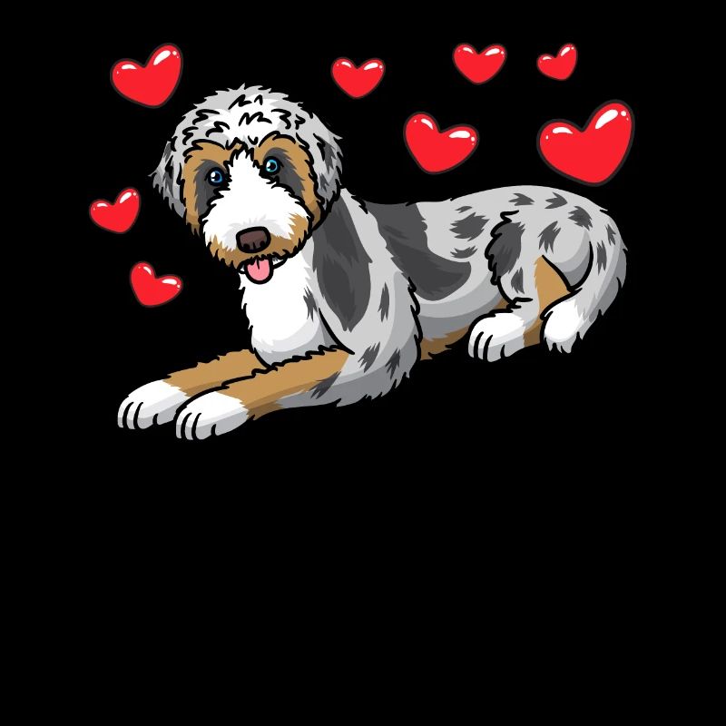 Aussiedoodle Hund