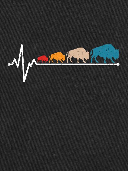Bison