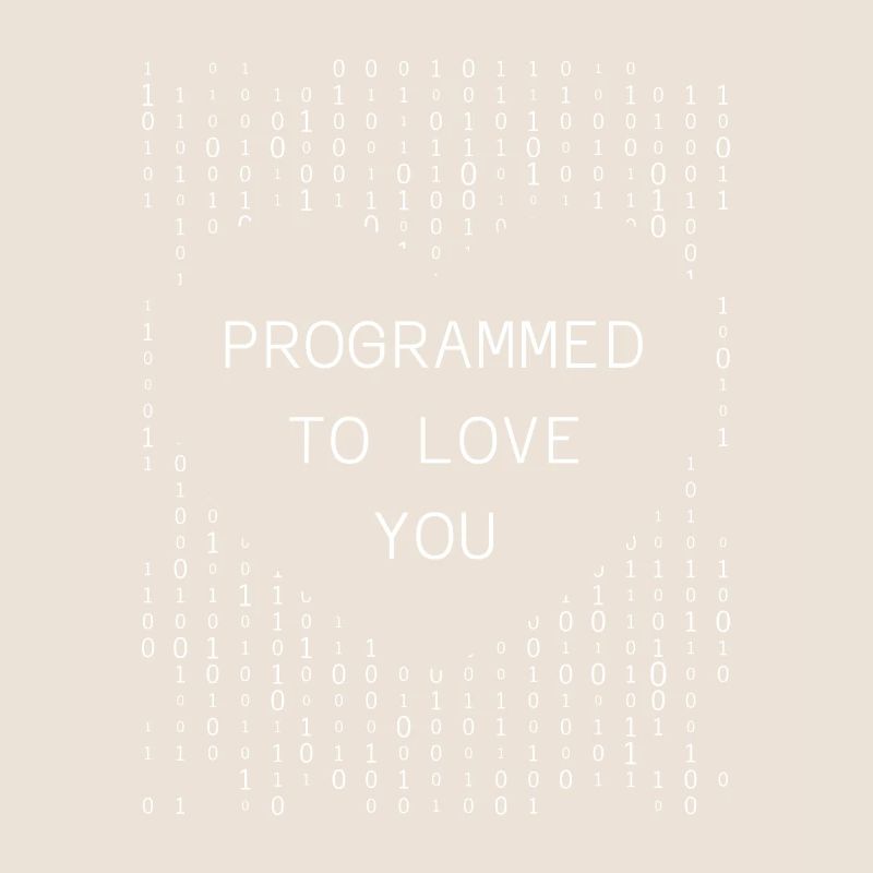 Programmeur Codeur développeur