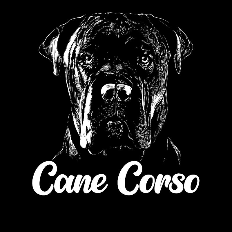 Cane Corso Hund