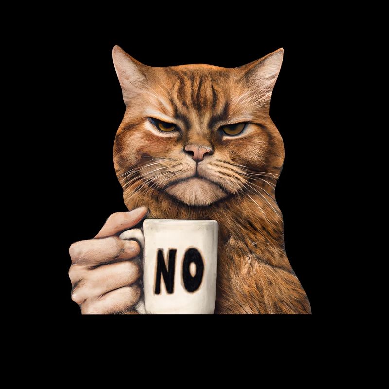 Grumpy funny cat with coffee cup says no