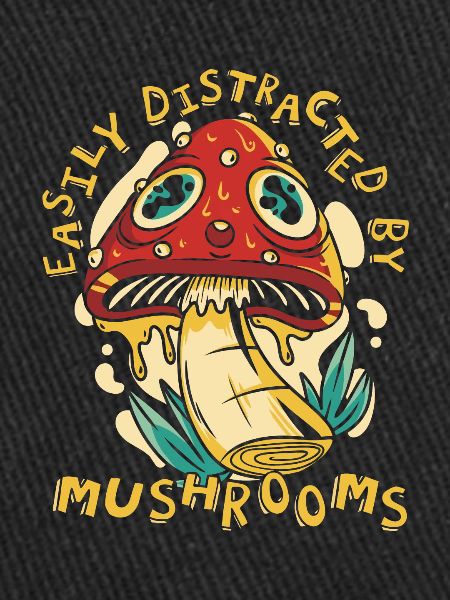 Champignons Champignons Champignon Champignon