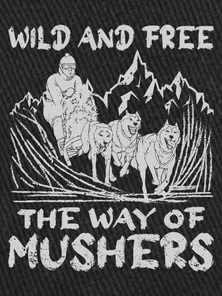Alaska Mushing Dog Mushers Huskies