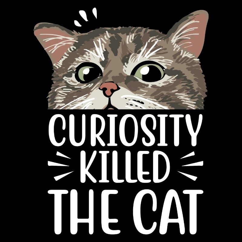 La curiosité est la mort du chat