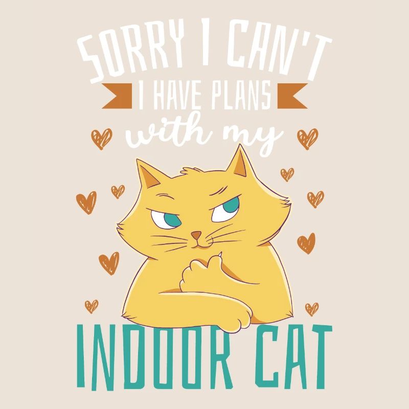 J’ai des projets avec mon chat d’intérieur