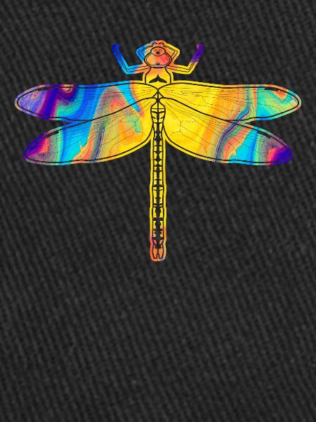 Libellule Libellules Insectes Libellules
