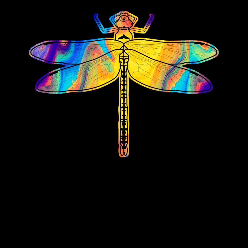 Libellule Libellules Insectes Libellules