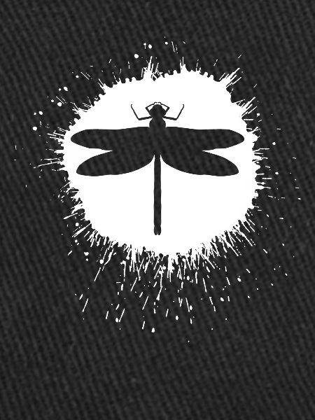 Libellule insectes Libellules Libellules